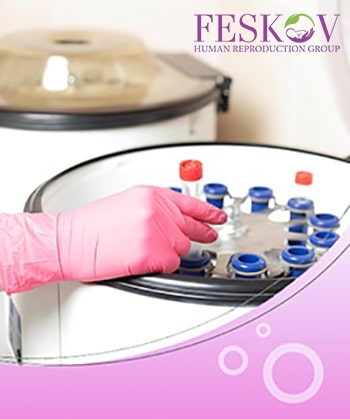 une mère porteuse partage-t-elle de ADN avec le bébé