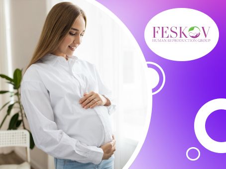 Que sont les follicules et pourquoi sont-ils importants pour ma fertilité ? - CENTRE DE LA MATERNITÉ DE SUBSTITUTION DU PROFESSEUR A. M. FESKOV