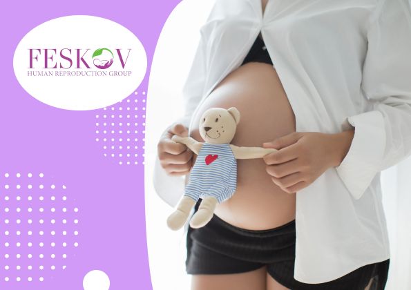 Que sont les follicules et pourquoi sont-ils importants pour ma fertilit&eacute; ? - 1