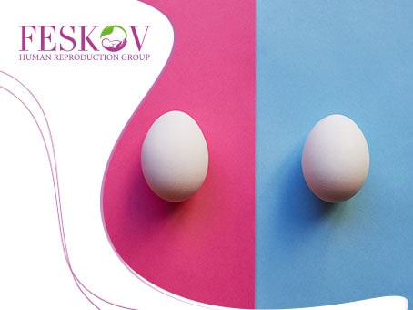 le blog: Donneuse d'ovules