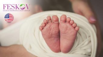 rewiews H****** et P********