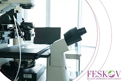 inconv&eacute;nients du don d'ovules