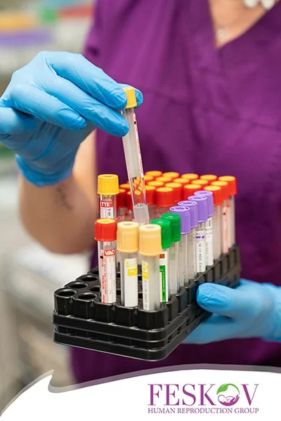 donneuse d'ovules &agrave; QI &eacute;lev&eacute;