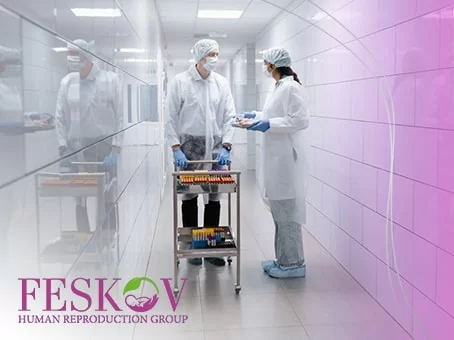 Ce que vous devez savoir sur la cryo-expédition mondiale d'ovules et d'embryons pour la maternité de substitution image