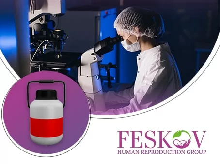 Pourquoi la procédure de transport des ovules cryoconservés à l'agence de maternité de substitution de Feskov est-elle également efficace dans votre cas ? image