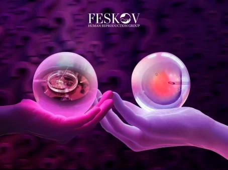 Quelle est la différence entre la FIV et l’ICSI ? foto Quelle est la différence entre la FIV et l’ICSI ? image