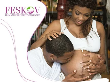 le blog: Ovule de donneuse + FIV: coût, garanties, pièges image