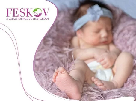 le blog: Don d'ovules en Europe image