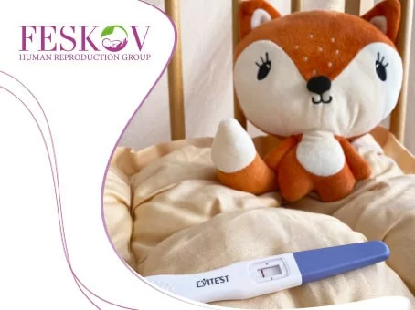 Que faire quand on ne peut pas tomber enceinte image