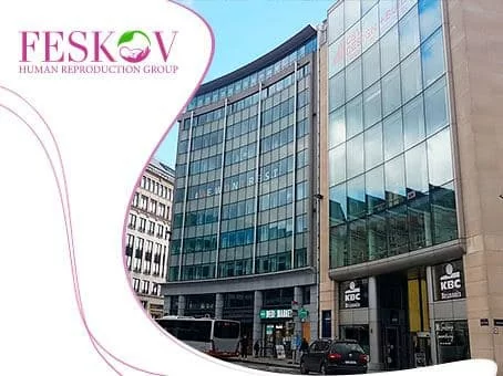 le blog: Maintenant Feskov Human Reproduction Group à Bruxelles! image