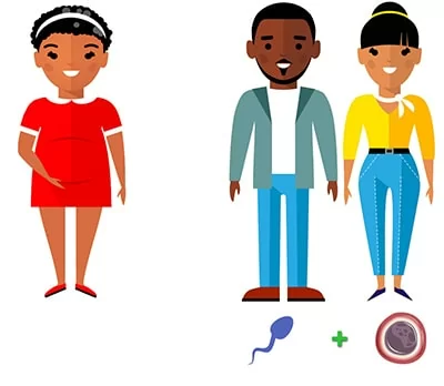 Gestation pour autrui gestationnelle