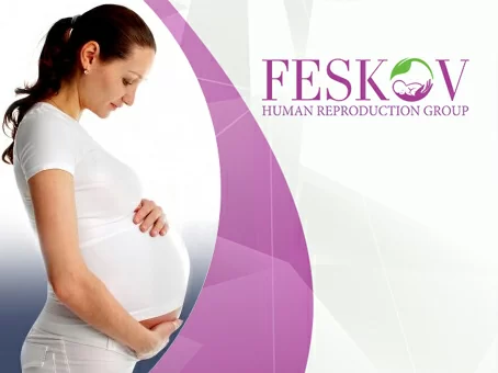 Le prix de la mère porteuse: comment ne pas payer trop et atteindre le résultat image