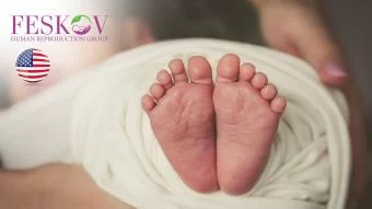 rewiews H****** et P********