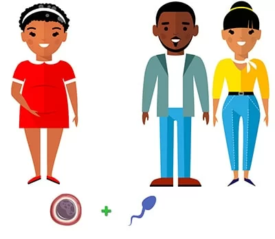 gestation pour autrui traditionnele