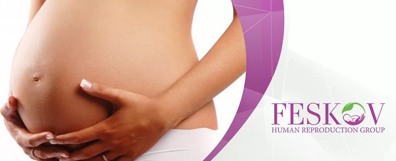 transplantation utérine